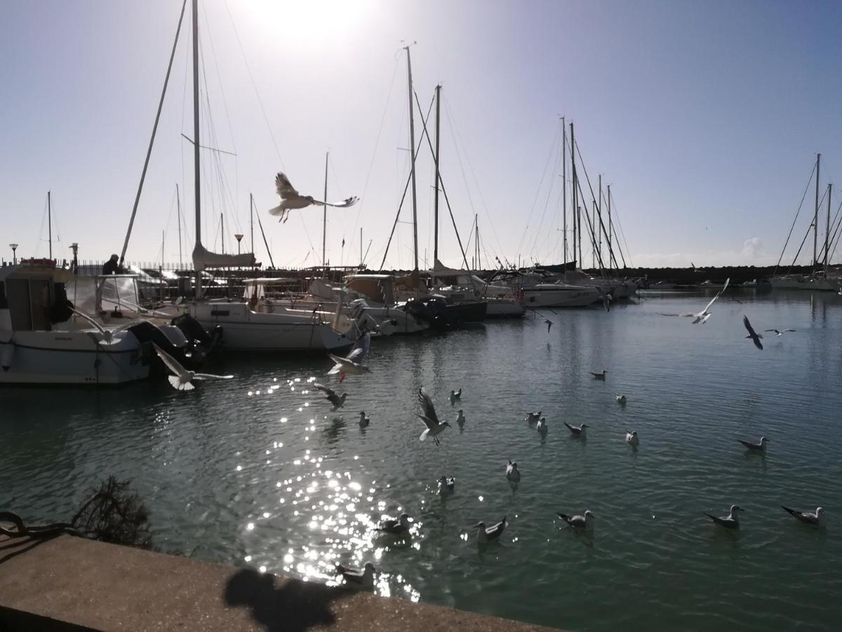 Blue Marine Di Ostia Hotel Bagian luar foto
